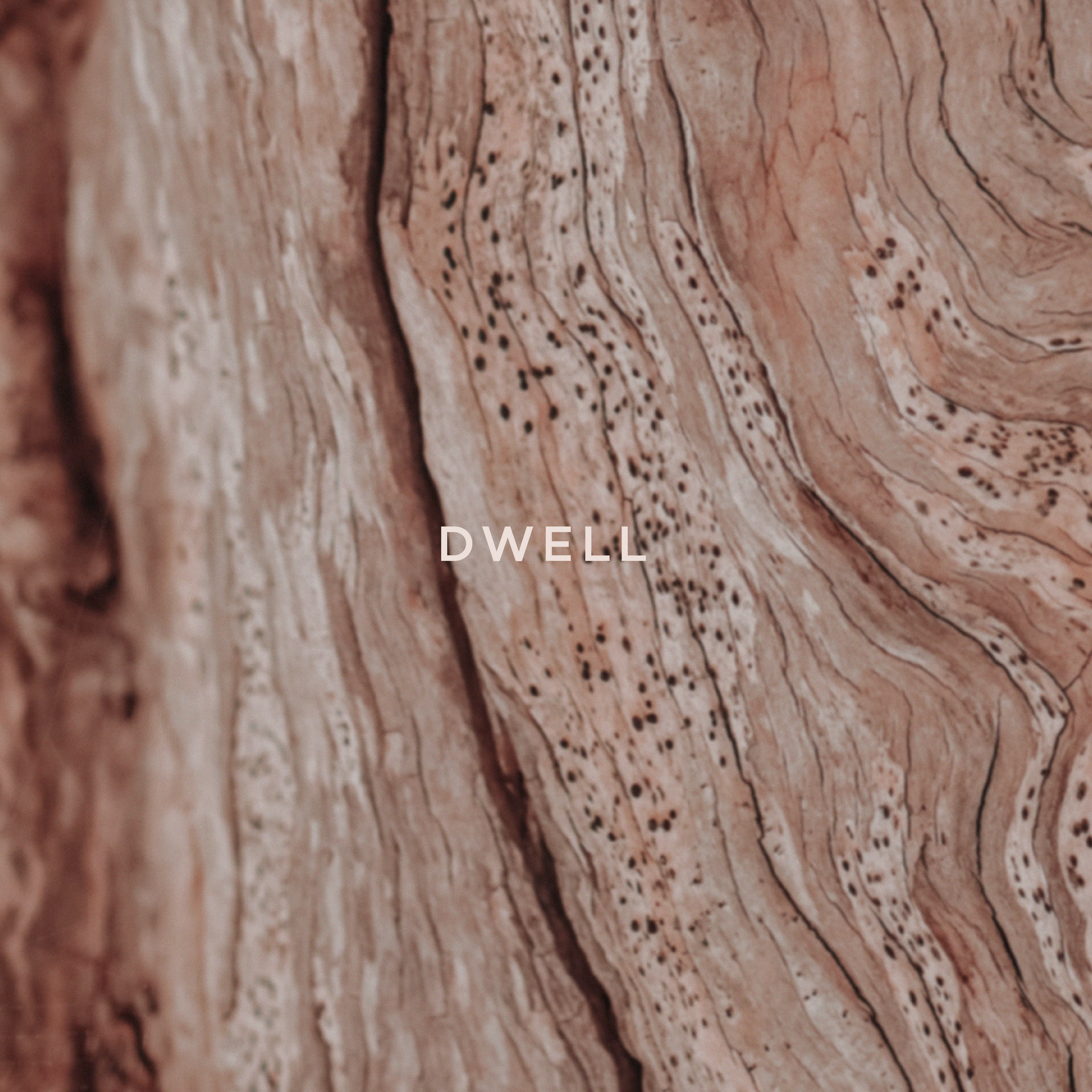 DWELL — VANILLA & AMBER WOOD