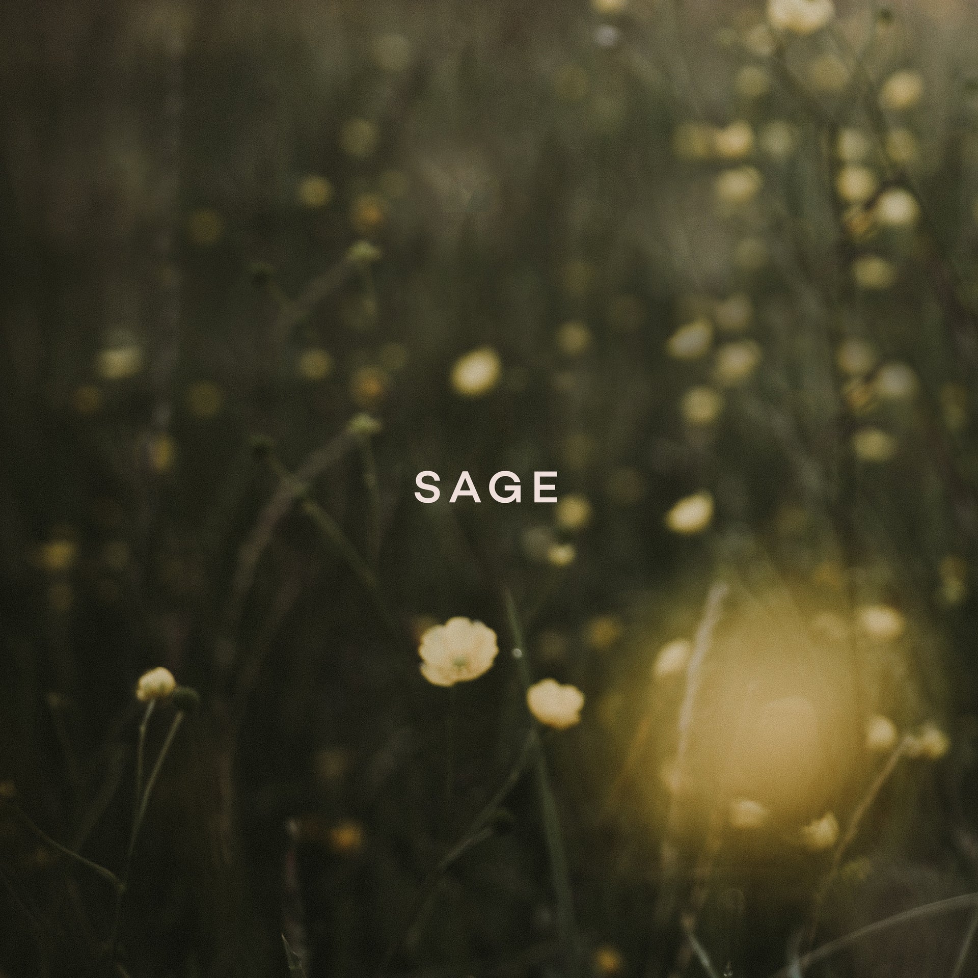 SAGE — CANNABIS & SAGE